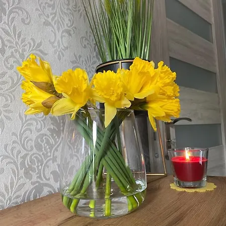 Apartament Artemida Kletno Stronie Śląskie