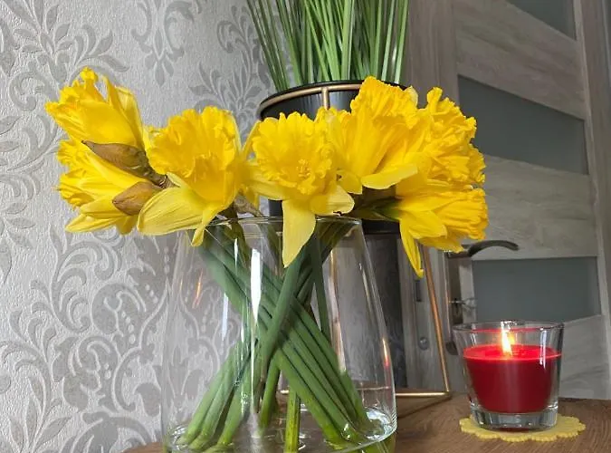 Appartement Artemida Kletno Stronie Śląskie